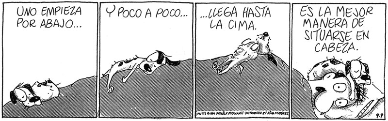 mutts_patrick_macdonnell